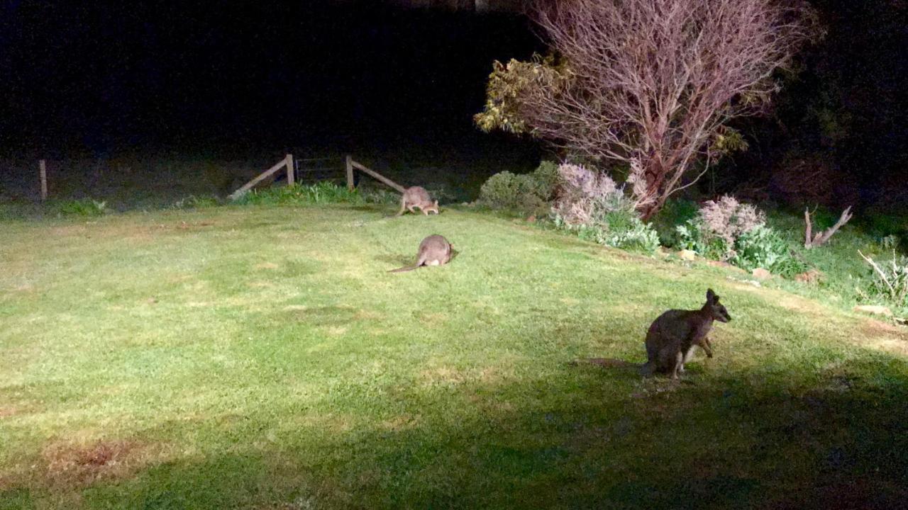 Bee'S Place - 3 Bedroom Home On 10 Acres Of Land With Distant Ocean Views Emu Bay Extérieur photo